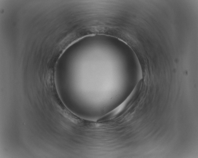 X0000076440233200610061305