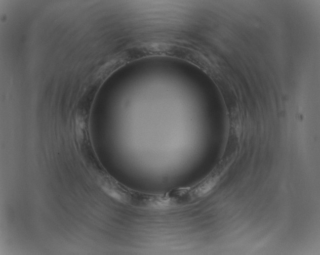 X0000076440235200610061305
