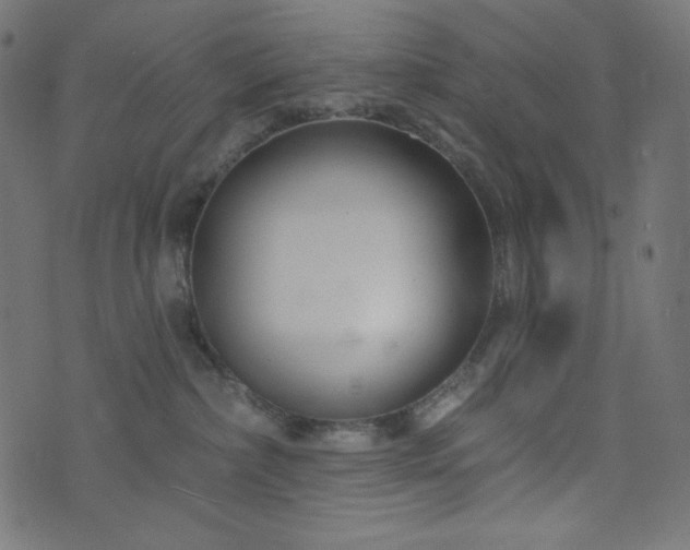 X0000076440236200610061305