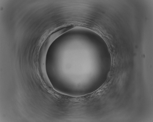 X0000076440241200610061304