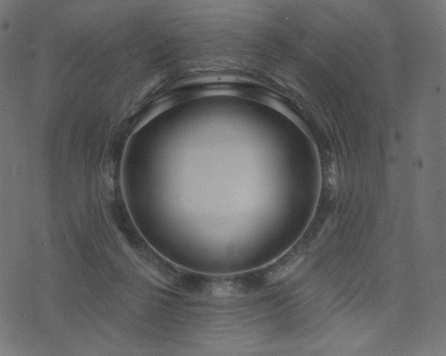 X0000076440264200610061305
