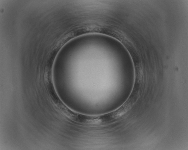 X0000076440266200610061305