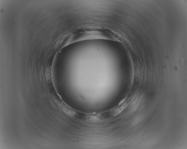 X0000076440285200610061305