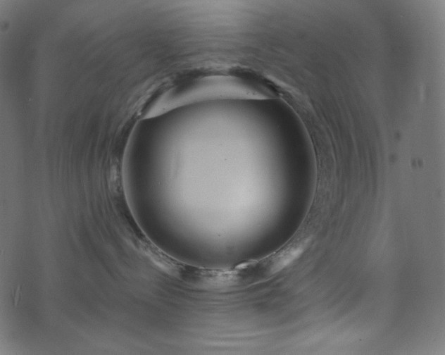X0000076440288200610061305