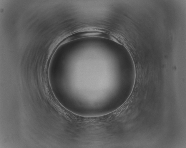X0000076440289200610061304