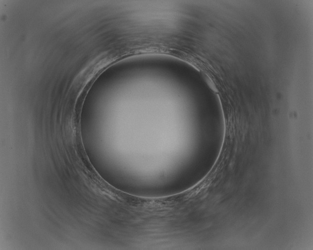 X0000076440290200610061304