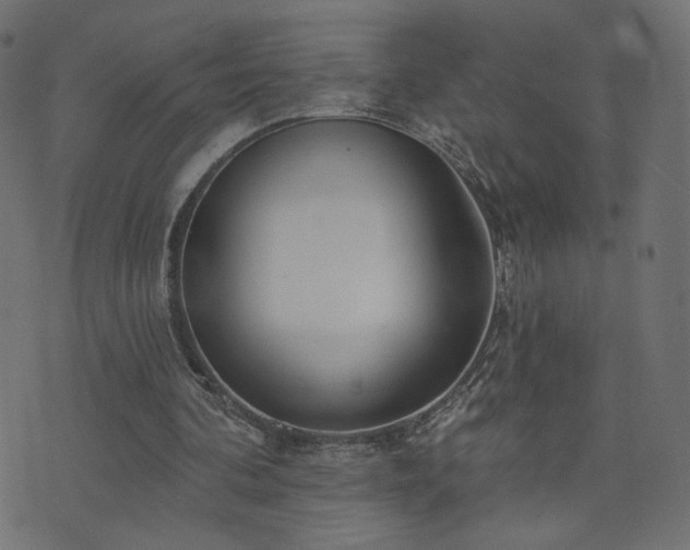 X0000076440292200610061304