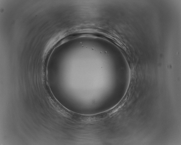 X0000076440293200610061304