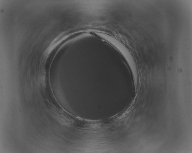 X0000076440295200610061304
