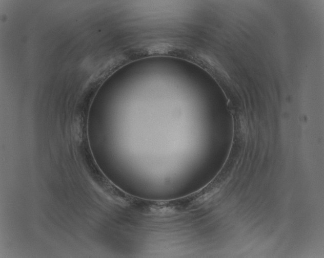 X0000076440311200610061304