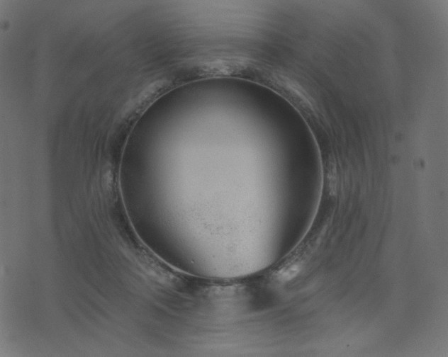 X0000076440314200610061304