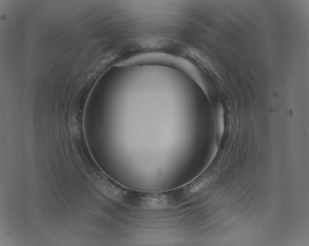 X0000076440317200610061304