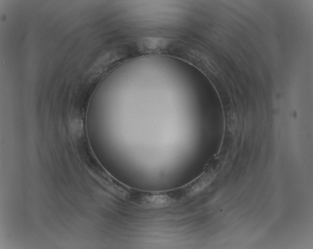 X0000076440324200610061304