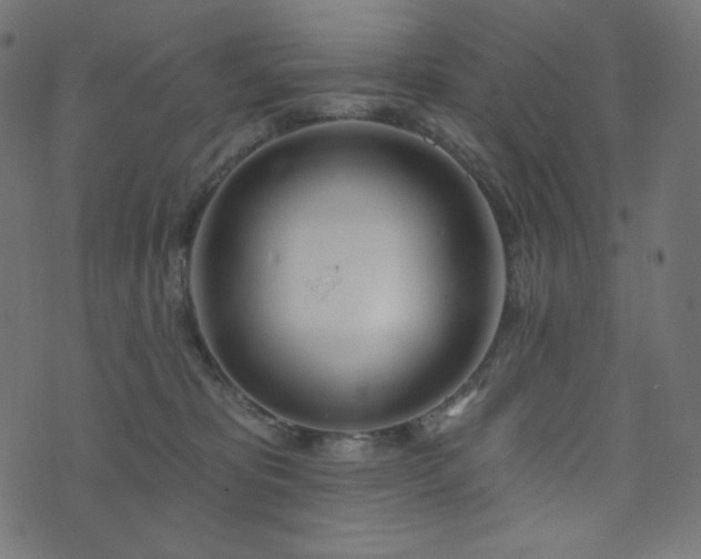 X0000076440325200610061304