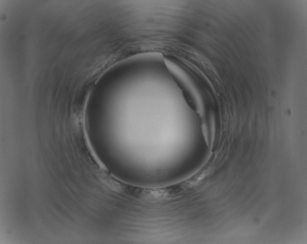 X0000076440329200610061304