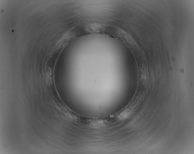 X0000076440332200610061304