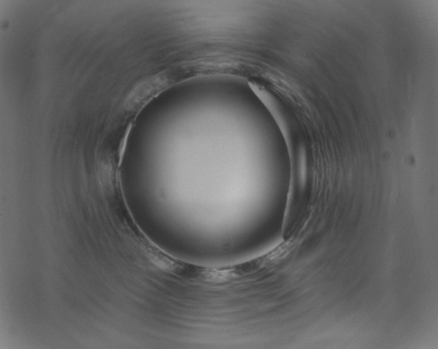 X0000076440333200610061303