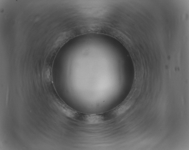 X0000076440336200610061303