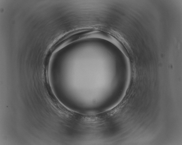 X0000076440346200610061303