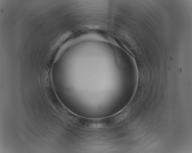 X0000076440360200610061303