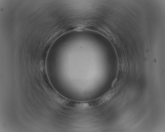 X0000076440374200610061303