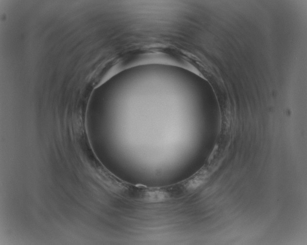 X0000076440376200610061303