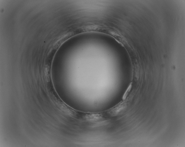 X0000076440378200610061303