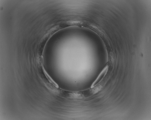 X0000076440380200610061303