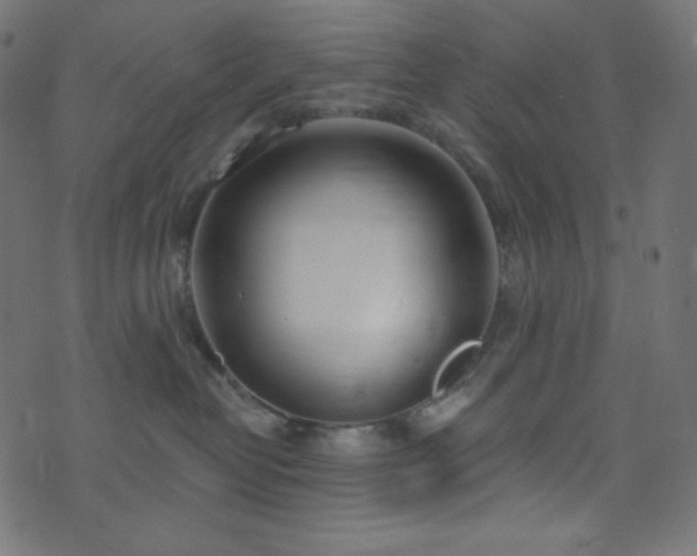 X0000076440382200610061303