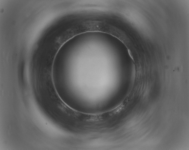 X0000076440383200610061303