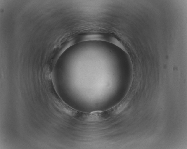 X0000076440384200610061303