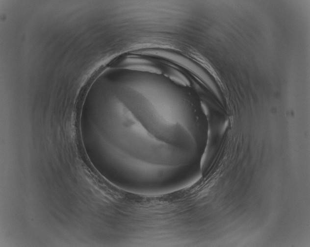 X0000076440387200610061303
