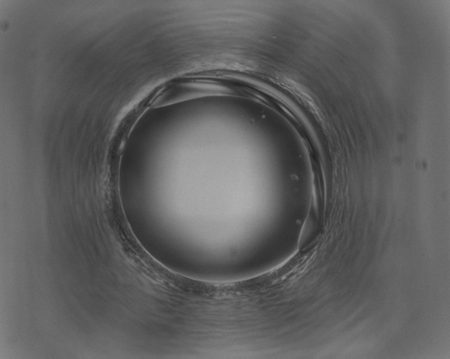 X0000076440388200610061303