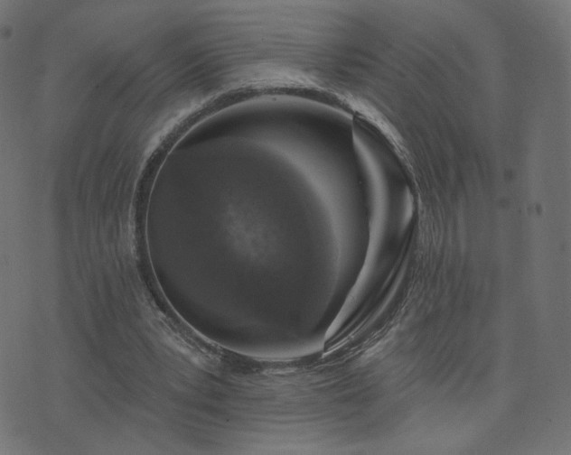 X0000076440391200610061303