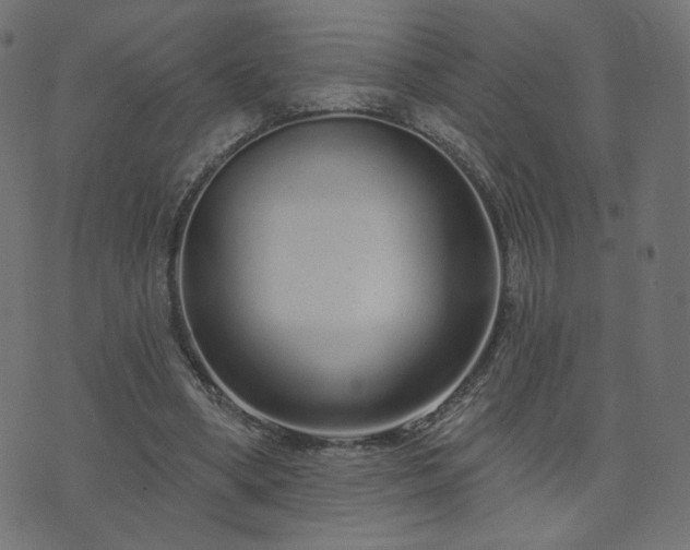 X0000076440394200610061302