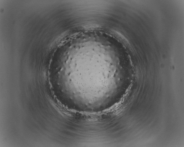 X0000076440405200610061302