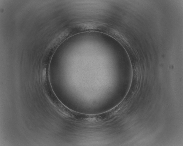 X0000076440406200610061302