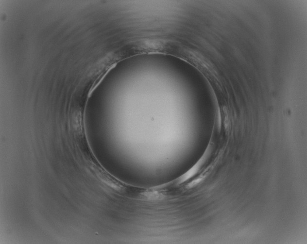 X0000076440425200610061302