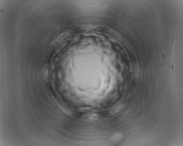 X0000076440427200610061302