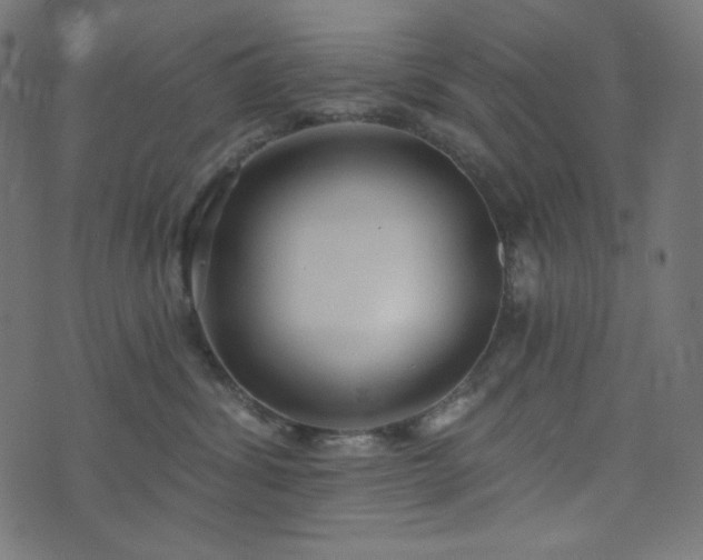 X0000076440428200610061302