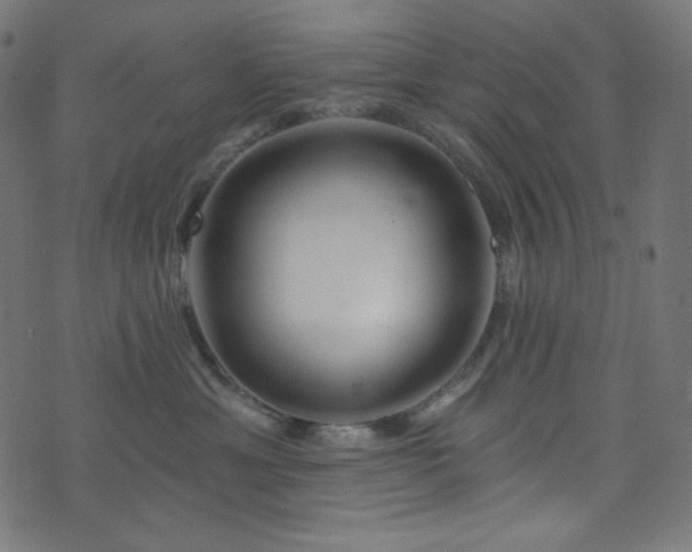 X0000076440429200610061302
