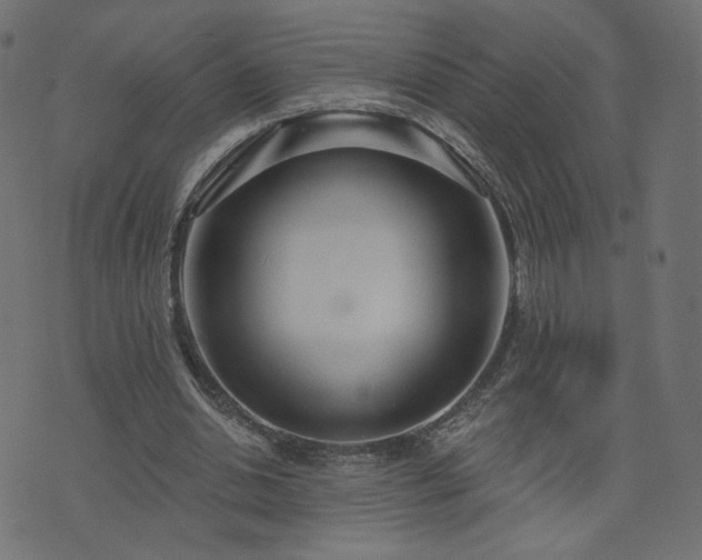 X0000076440438200610061301