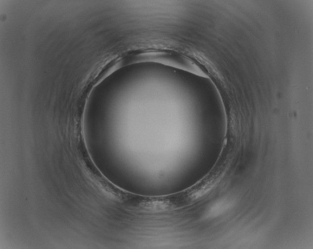 X0000076440449200610061301