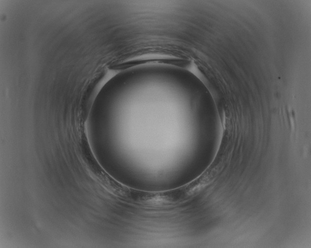 X0000076440460200610061302