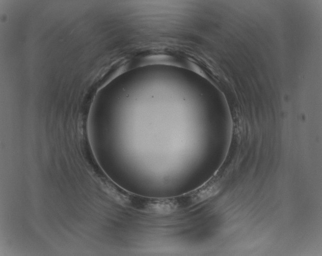 X0000076440466200610061302