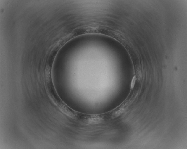 X0000076440468200610061302