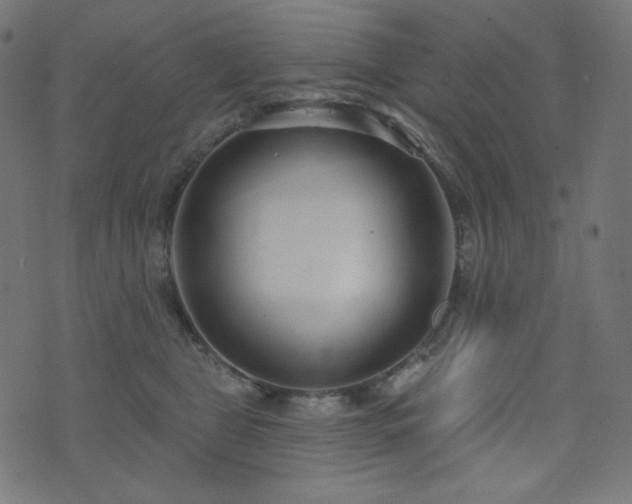 X0000076440469200610061302
