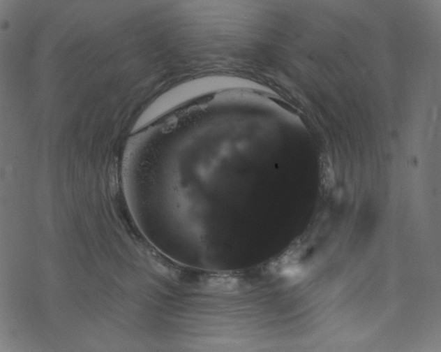X0000076440471200610061302
