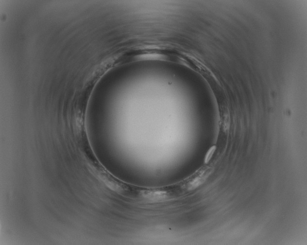 X0000076440476200610061302