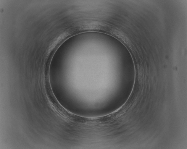 X0000076440482200610061301